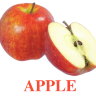 E05 Apple (2).jpg