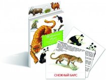 Карточки Домана  "Животные Азии"